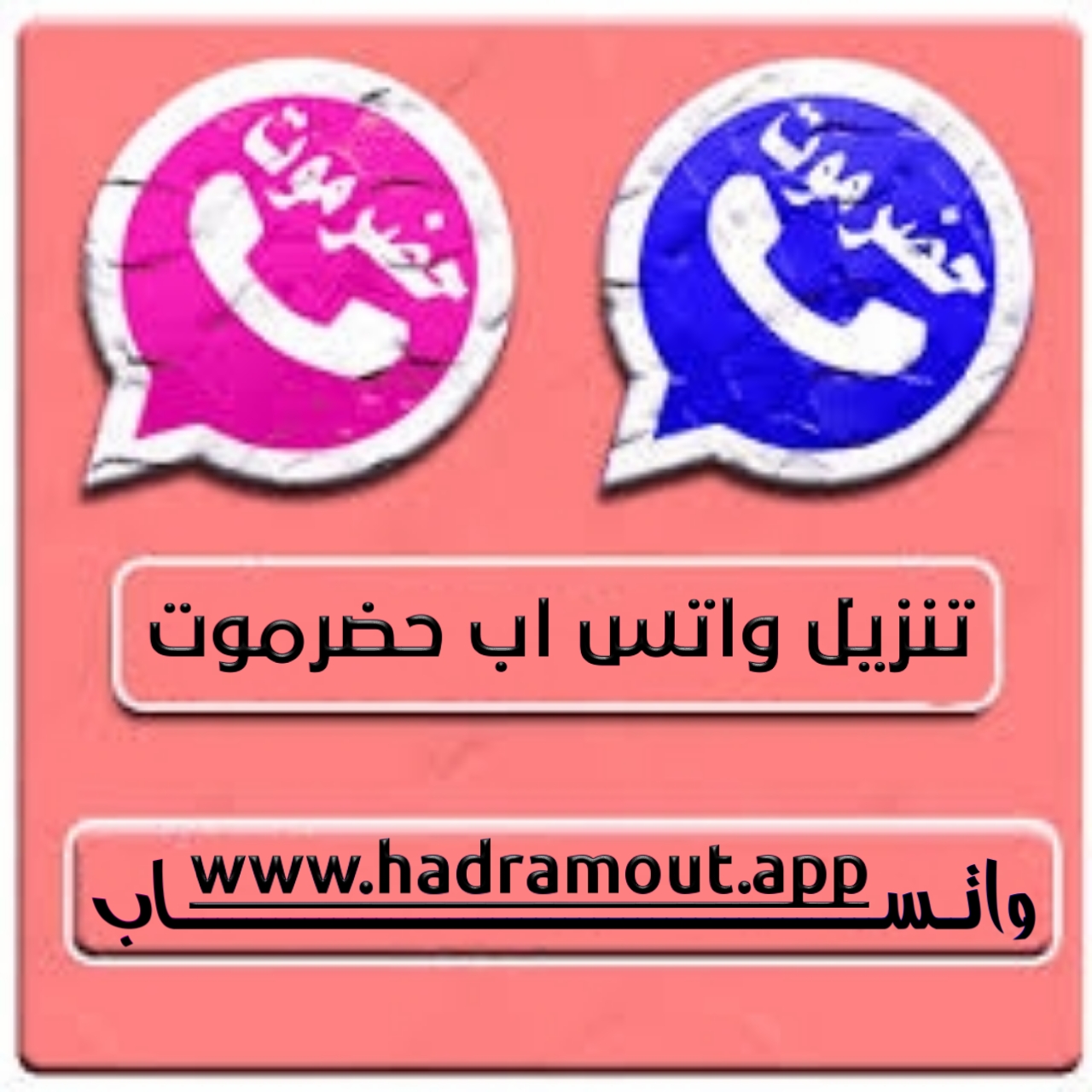 #1 - صور من البرنامج